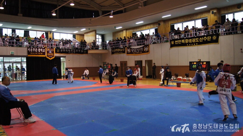 147CED4E508BD10E36.jpg