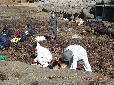 8_cafe_2007_12_18_11_17_47672d6e290c3.jpg