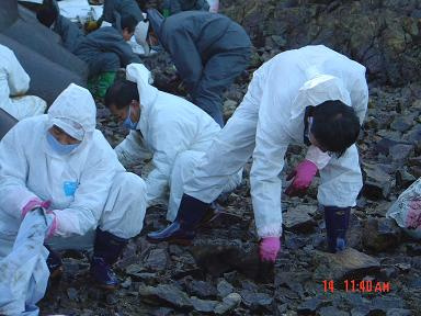 16_cafe_2007_12_18_11_17_47672d9d91719.jpg