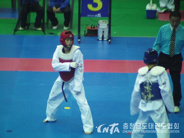 125831154CADC12EA0.jpg