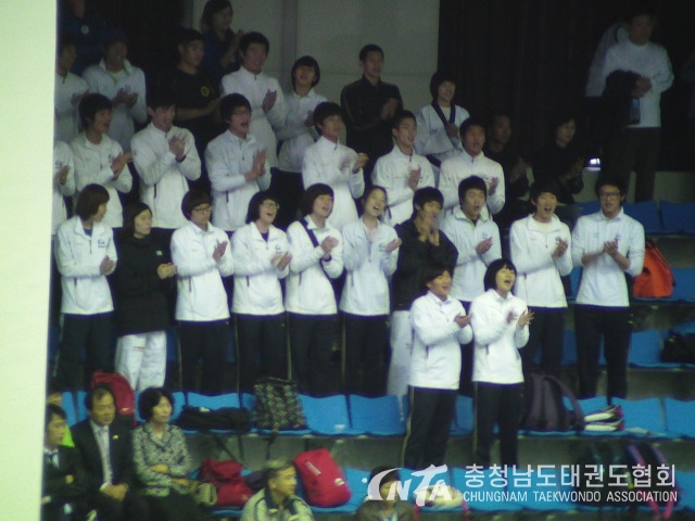 135831154CADC12EA1.jpg