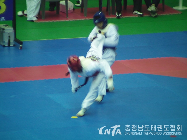 115831154CADC12B9D.jpg