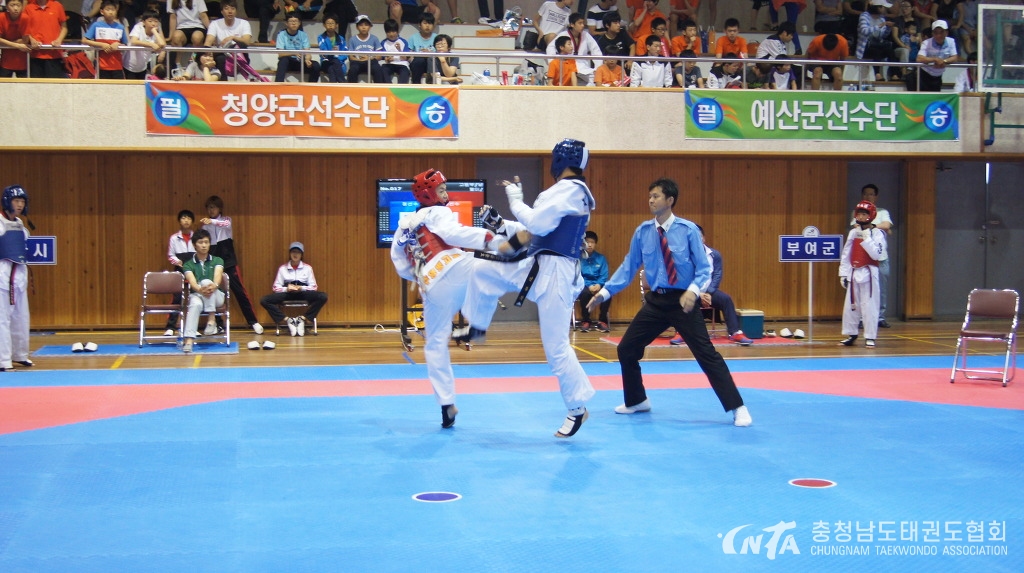 2109494A51BD78B62A.jpg
